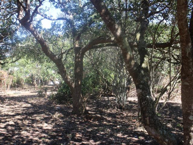 Land for sale in Groot Brak Rivier, Western Cape