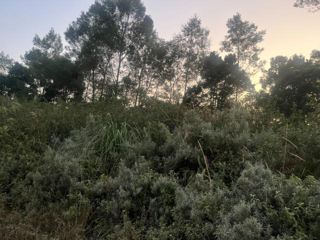 Land for sale in Mopani, Limpopo