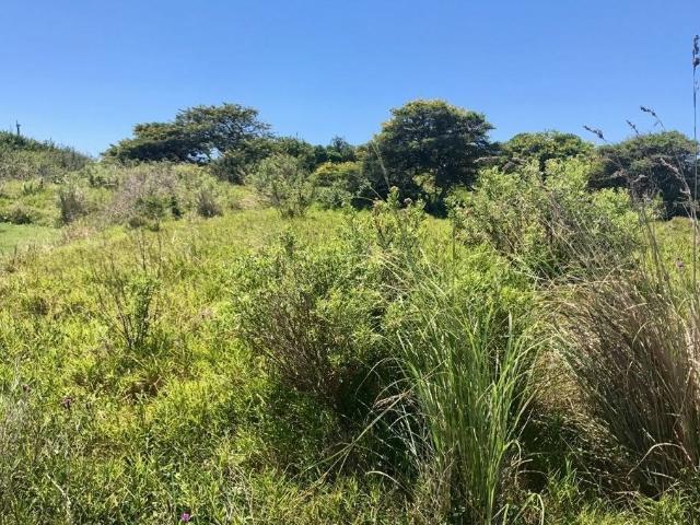 Land for sale in Amathole District Municipality, Eastern Cape