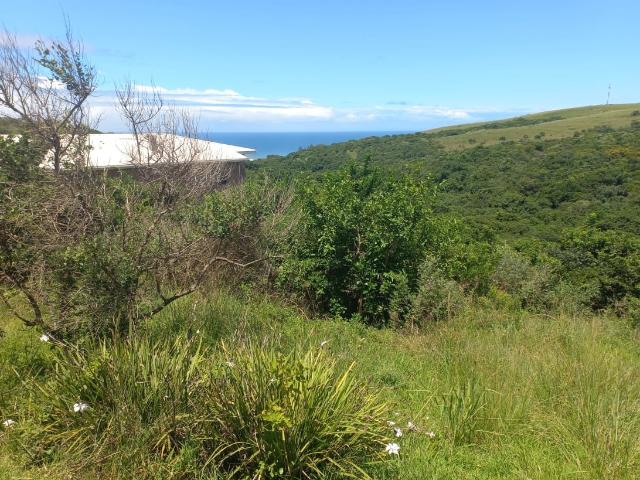 Land for sale in Amathole District Municipality, Eastern Cape