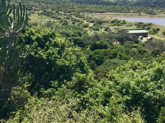 Land for sale in Amathole District Municipality, Eastern Cape