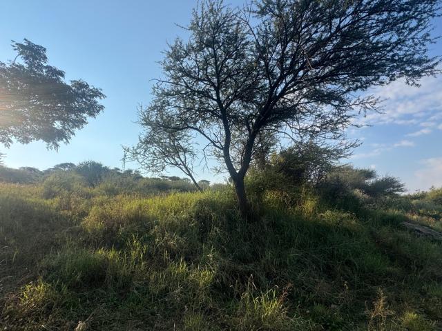 Land for sale in Frances Baard, Northern Cape