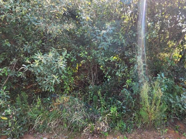 Land for sale in Umhlanga