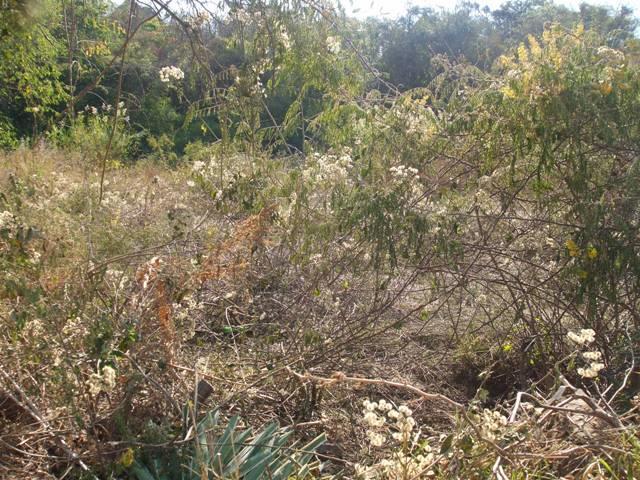 Land for sale in Ehlanzeni, Mpumalanga