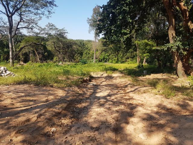 Land for sale in Ehlanzeni, Mpumalanga