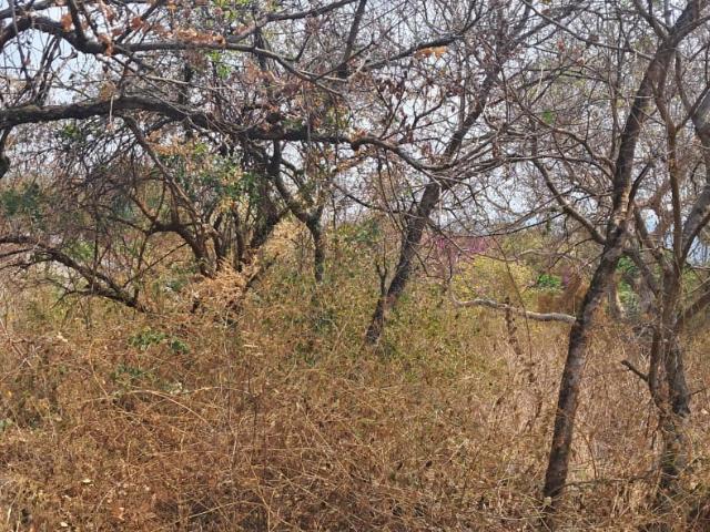 Land for sale in Ehlanzeni, Mpumalanga