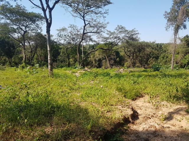 Land for sale in Ehlanzeni, Mpumalanga