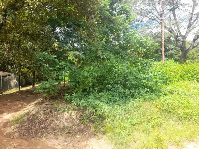 Land for sale in Ehlanzeni, Mpumalanga