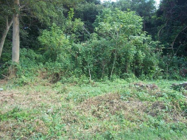 Land for sale in Ehlanzeni, Mpumalanga
