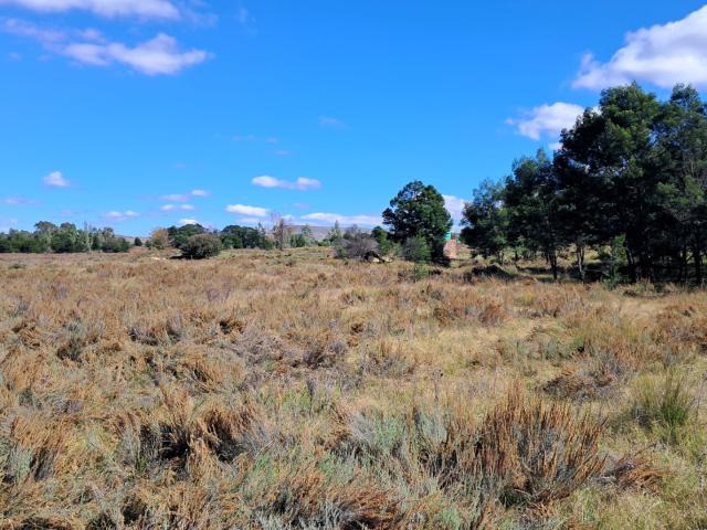 Land for sale in Lesedi Local Municipality, Gauteng
