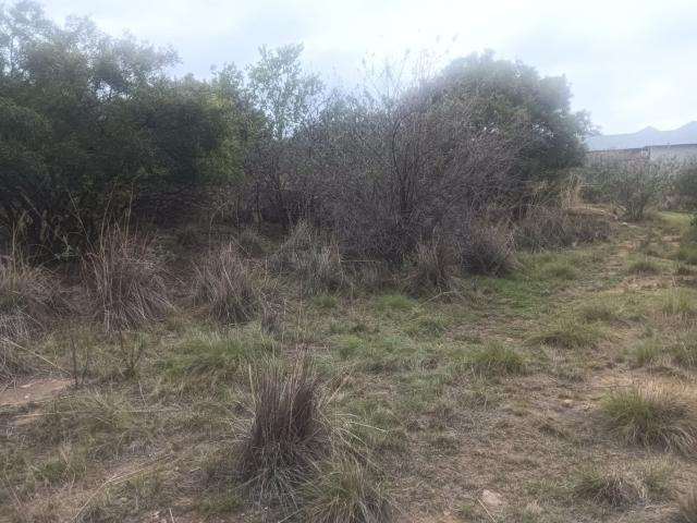 Land for sale in Lesedi Local Municipality, Gauteng