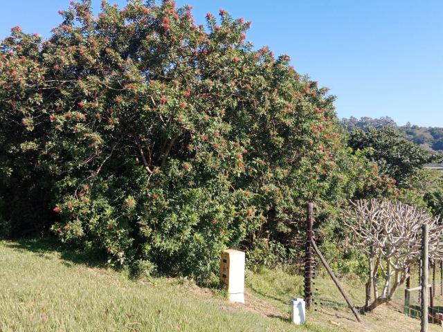Land for sale in Ugu District Municipality, Kwazulu-natal