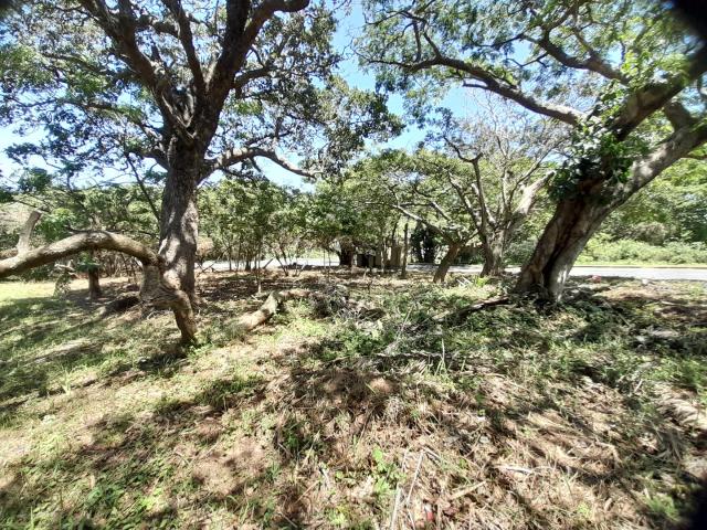 Land for sale in Ugu District Municipality, Kwazulu-natal