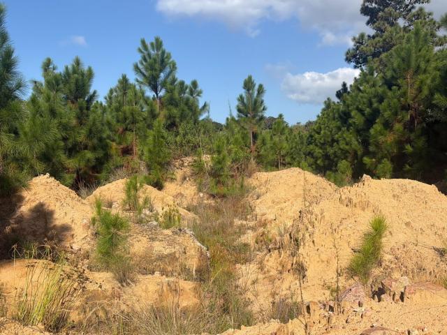 Land for sale in Ugu District Municipality, Kwazulu-natal