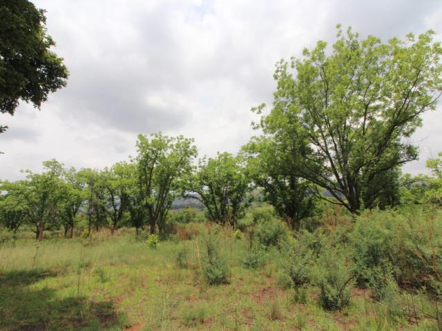 Land for sale in Kagiso, Gauteng
