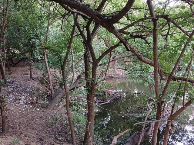 Land for sale in Tshwane Ward 96, City of Tshwane Metropolitan Municipality