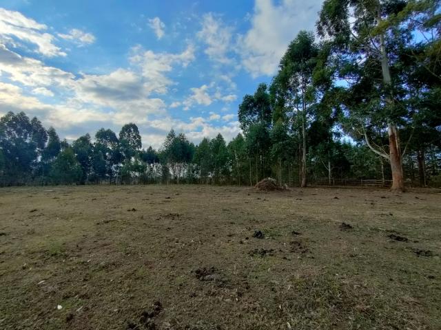 Land for sale in Umgungundlovu, Kwazulu-natal