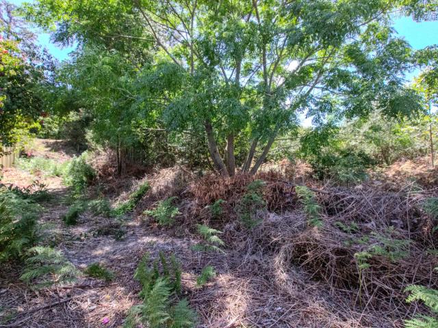 Land for sale in Groot Brak Rivier, Western Cape