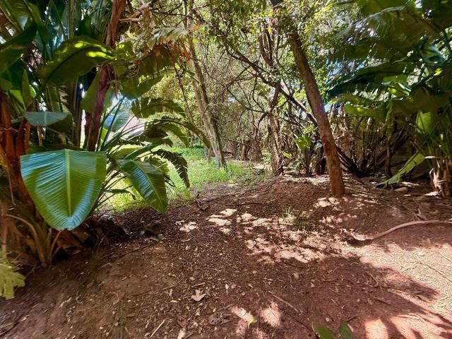 Land for sale in Rosebank, Gauteng