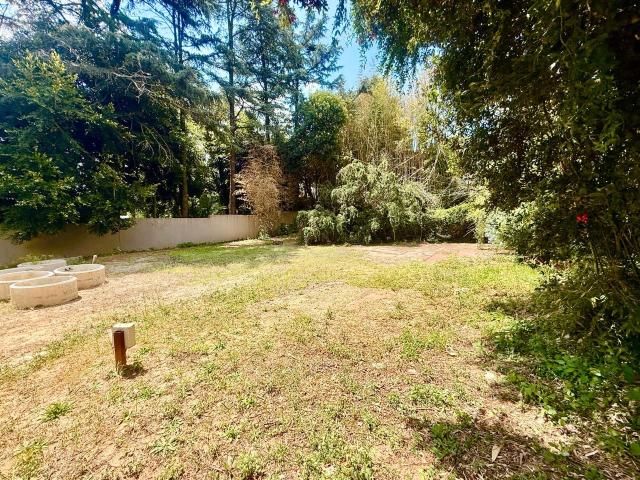 Land for sale in Rosebank, Gauteng