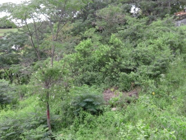 Land for sale in Kingsburgh, Kwazulu-natal