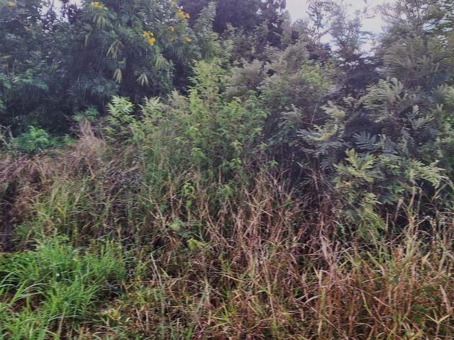 Land for sale in Potgietersrus, Limpopo