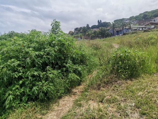 Land for sale in Isipingo