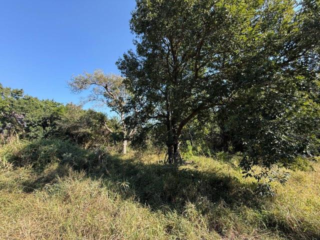 Land for sale in Mopani, Limpopo