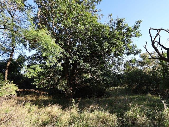 Land for sale in Mopani, Limpopo