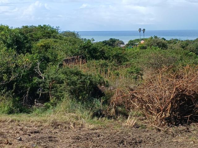 Land for sale in Amathole District Municipality, Eastern Cape