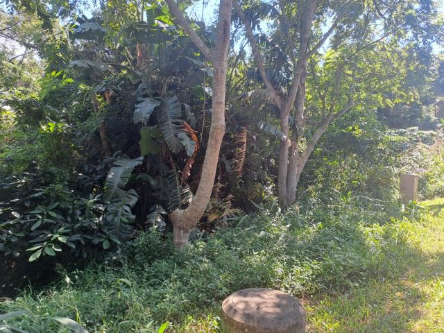 Land for sale in Ugu District Municipality, Kwazulu-natal