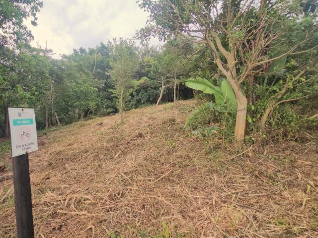 Land for sale in Ugu District Municipality, Kwazulu-natal