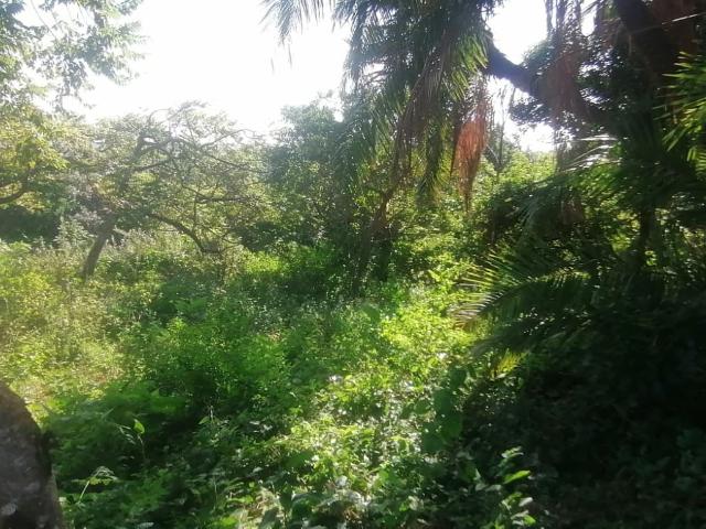 Land for sale in Ugu District Municipality, Kwazulu-natal