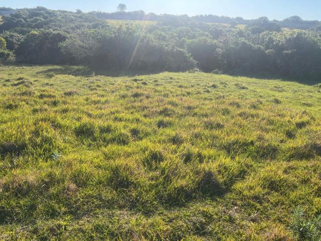 Land for sale in Bushmans River Mouth, Eastern Cape