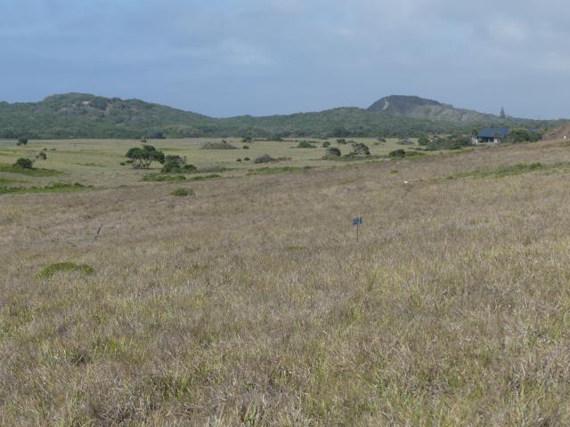 Land for sale in Bushmans River Mouth, Eastern Cape