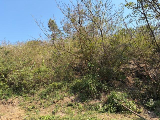 Land for sale in Durban North, Kwazulu-natal