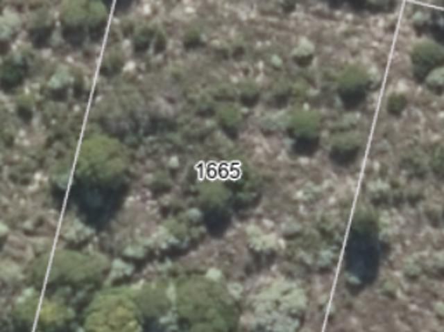 Land for sale in Baardskeerdersbos, Western Cape