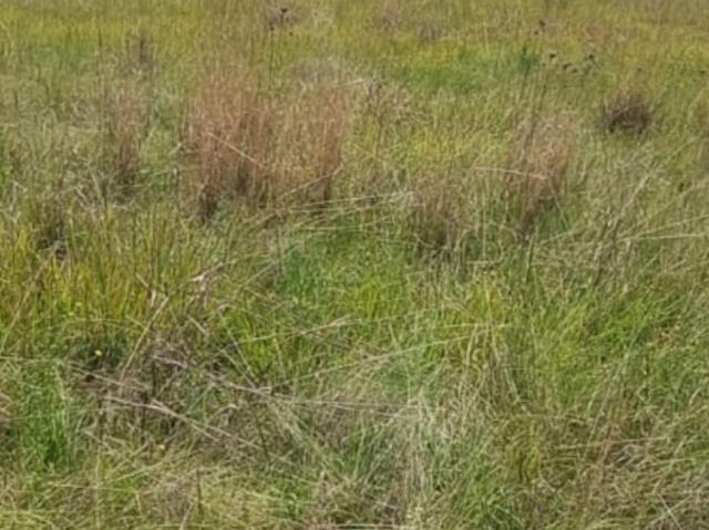 Land for sale in Kungwini, Gauteng