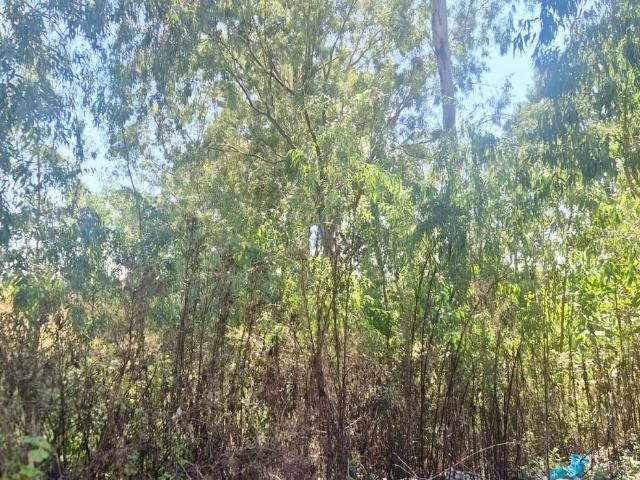 Land for sale in Knopjeslaagte, Gauteng