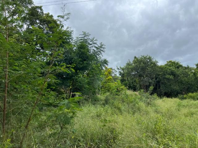Land for sale in Ehlanzeni, Mpumalanga