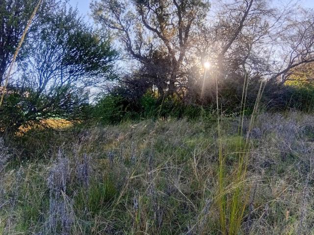 Land for sale in Nylstroom, Limpopo