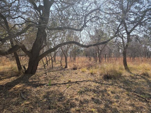 Land for sale in Nylstroom, Limpopo