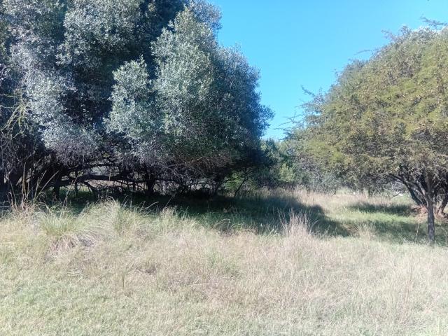 Land for sale in Nylstroom, Limpopo