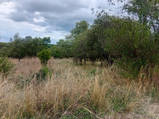 Land for sale in Nylstroom, Limpopo