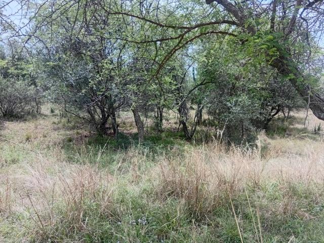 Land for sale in Nylstroom, Limpopo