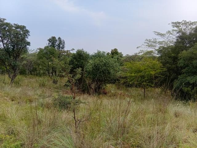 Land for sale in Nylstroom, Limpopo