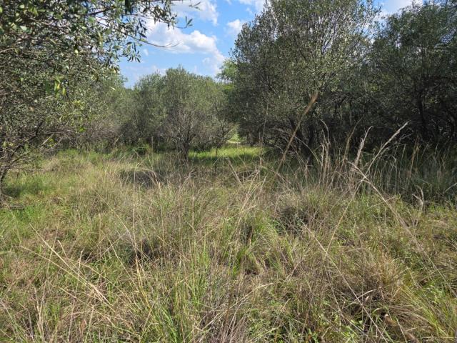 Land for sale in Nylstroom, Limpopo