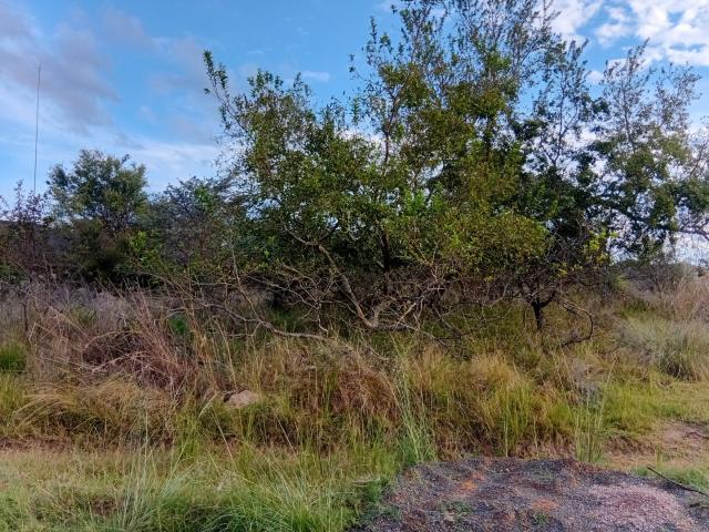 Land for sale in Nylstroom, Limpopo