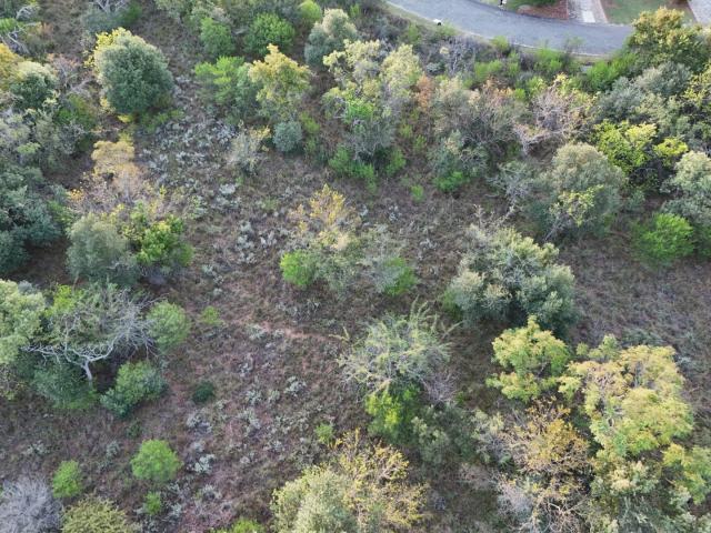 Land for sale in Nylstroom, Limpopo