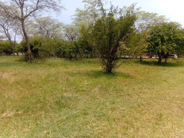 Land for sale in Nylstroom, Limpopo